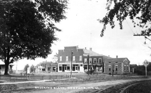 Newfane cobblestone house